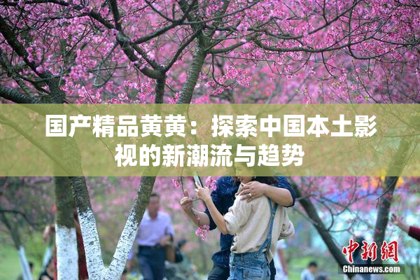 国产精品黄黄：探索中国本土影视的新潮流与趋势