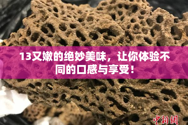 13又嫩的绝妙美味，让你体验不同的口感与享受！