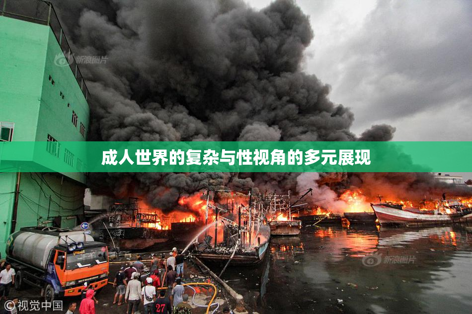 成人世界的复杂与性视角的多元展现