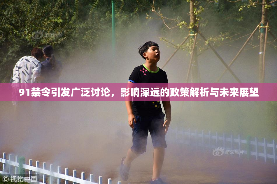 91禁令引发广泛讨论，影响深远的政策解析与未来展望