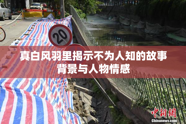 真白风羽里揭示不为人知的故事背景与人物情感