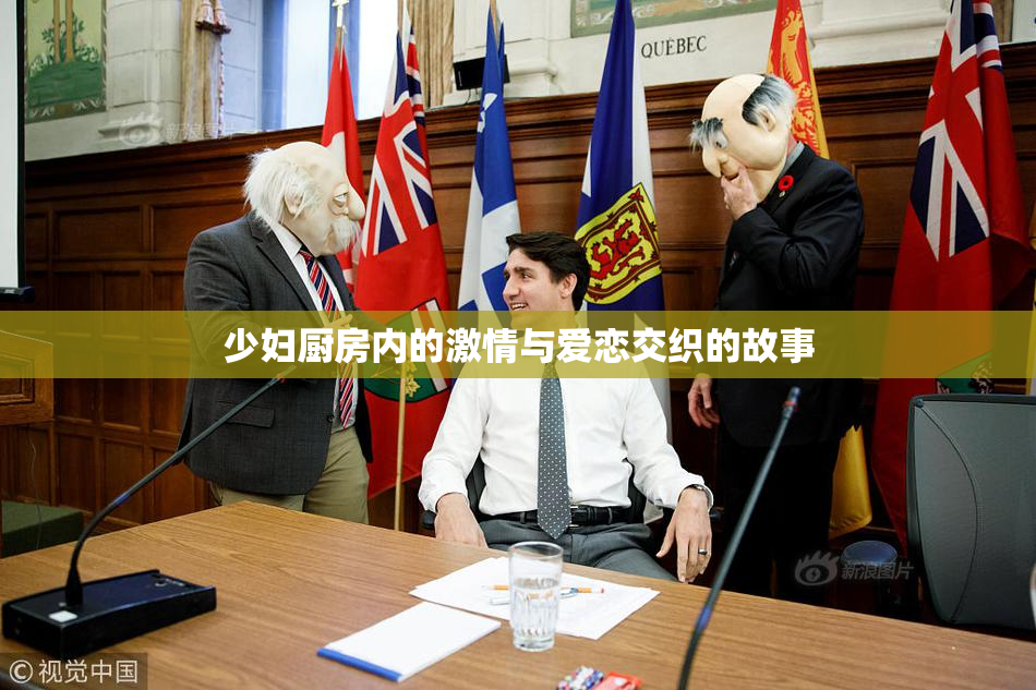 少妇厨房内的激情与爱恋交织的故事