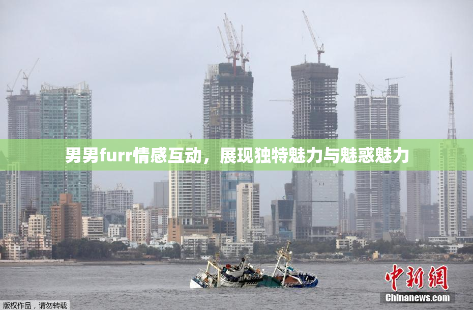 男男furr情感互动，展现独特魅力与魅惑魅力