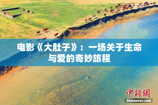电影《大肚子》：一场关于生命与爱的奇妙旅程