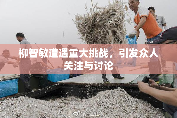 柳智敏遭遇重大挑战，引发众人关注与讨论