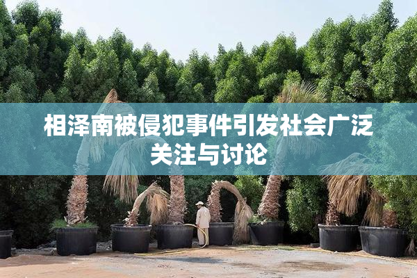 相泽南被侵犯事件引发社会广泛关注与讨论
