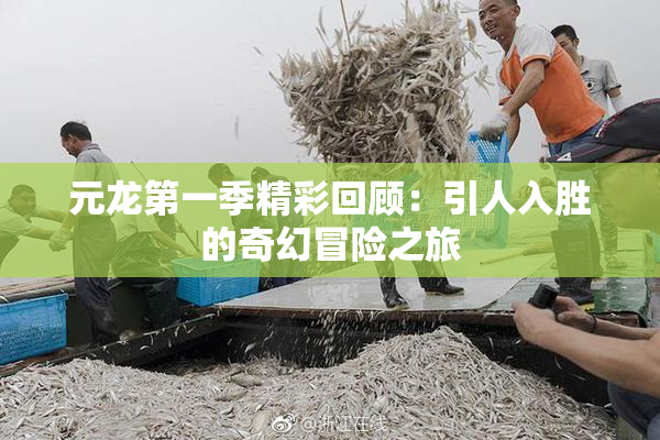 元龙第一季精彩回顾：引人入胜的奇幻冒险之旅