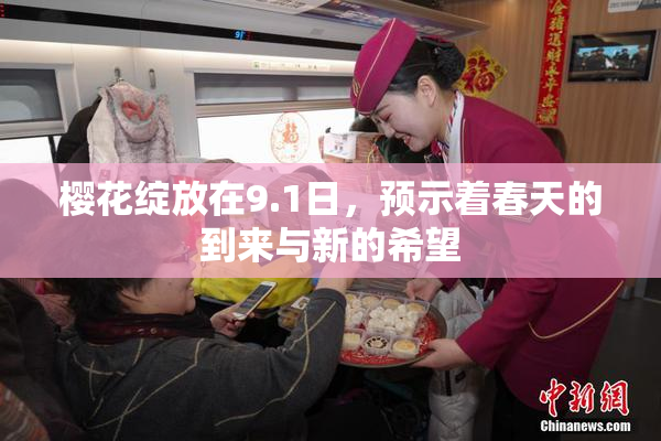 樱花绽放在9.1日，预示着春天的到来与新的希望