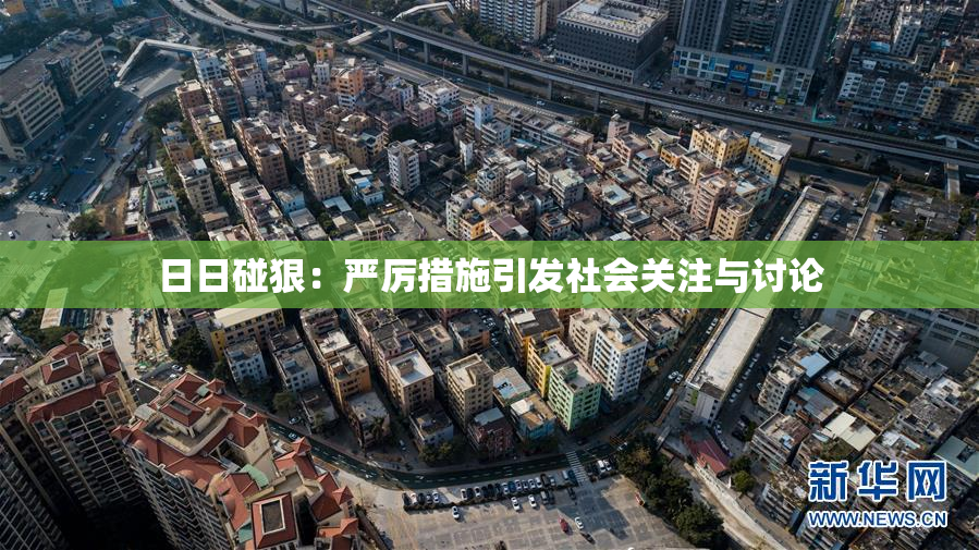 日日碰狠：严厉措施引发社会关注与讨论