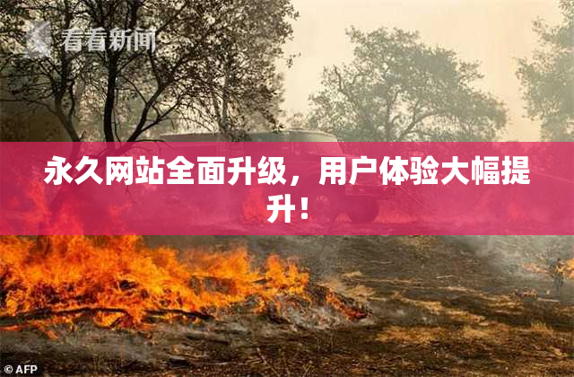 永久网站全面升级，用户体验大幅提升！