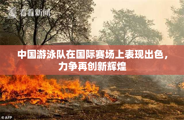 中国游泳队在国际赛场上表现出色，力争再创新辉煌