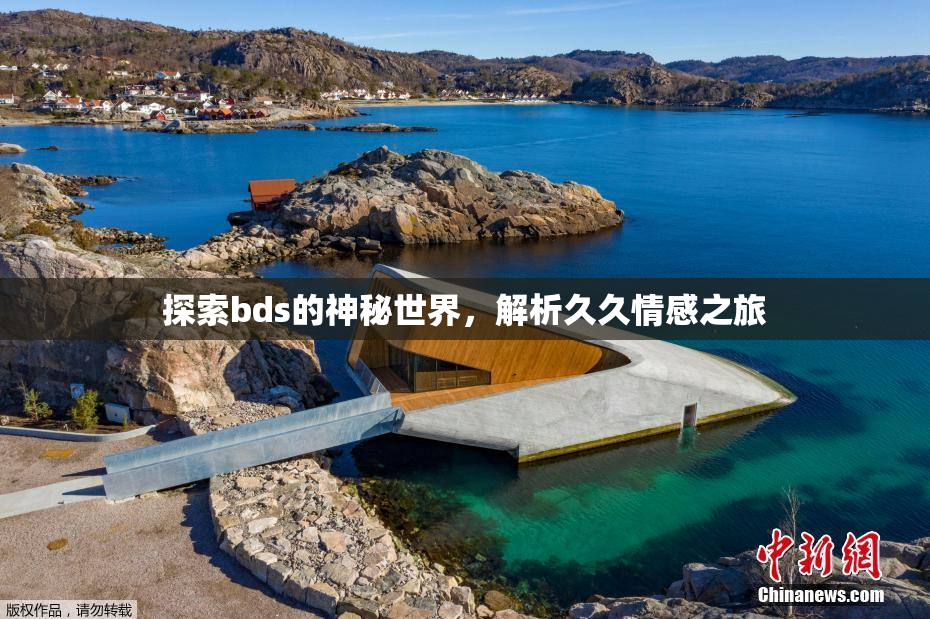 探索bds的神秘世界，解析久久情感之旅