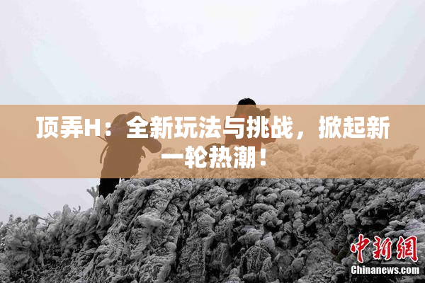 顶弄H：全新玩法与挑战，掀起新一轮热潮！