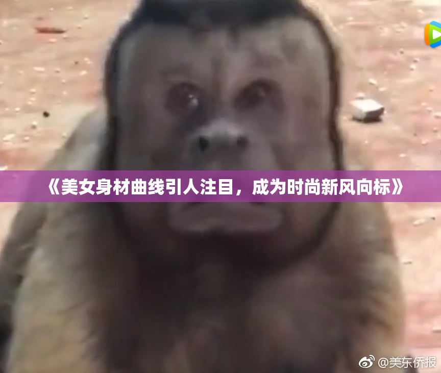 《美女身材曲线引人注目，成为时尚新风向标》