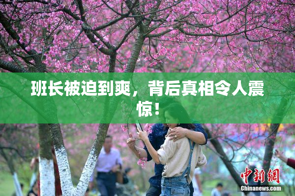 班长被迫到爽，背后真相令人震惊！