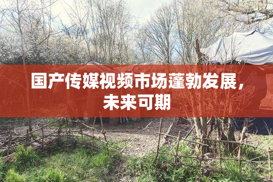 国产传媒视频市场蓬勃发展，未来可期