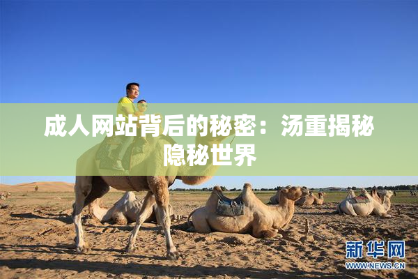 成人网站背后的秘密：汤重揭秘隐秘世界