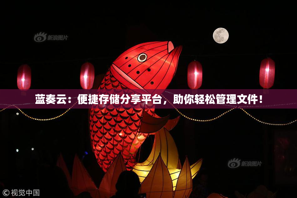 蓝奏云：便捷存储分享平台，助你轻松管理文件！