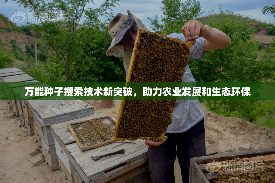 万能种子搜索技术新突破，助力农业发展和生态环保