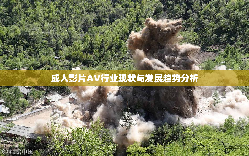 成人影片AV行业现状与发展趋势分析