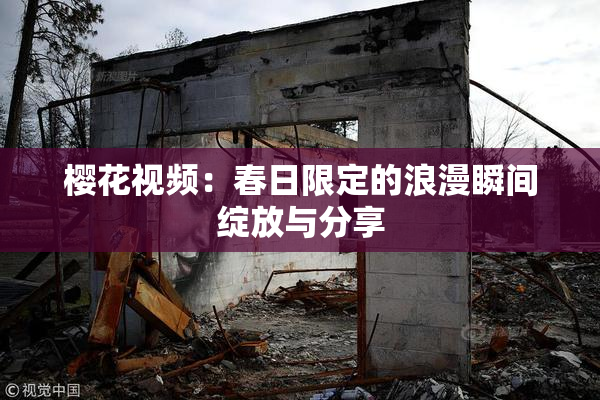 樱花视频：春日限定的浪漫瞬间绽放与分享