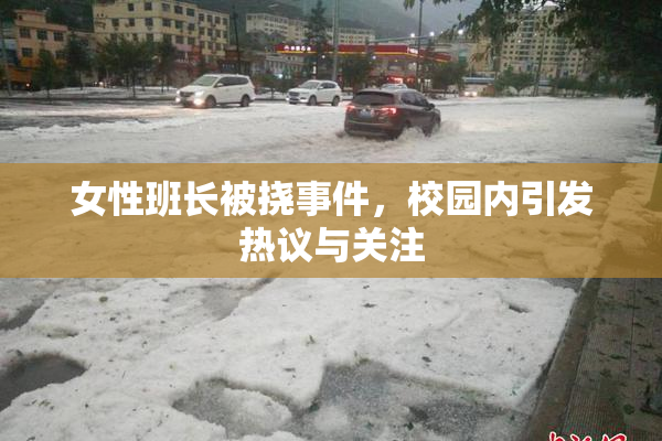 女性班长被挠事件，校园内引发热议与关注