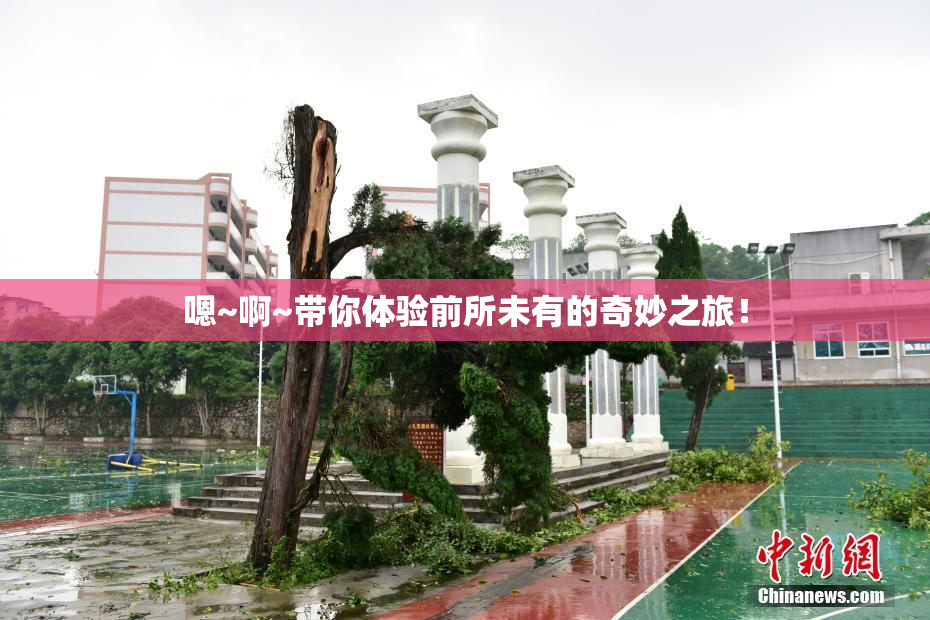 嗯~啊~带你体验前所未有的奇妙之旅！