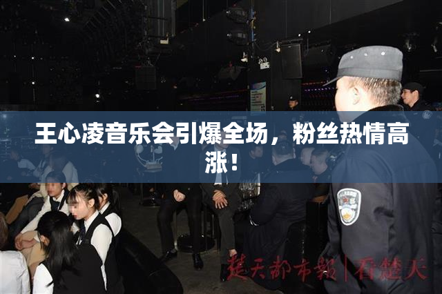 王心凌音乐会引爆全场，粉丝热情高涨！