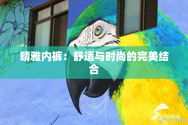 晴雅内裤：舒适与时尚的完美结合