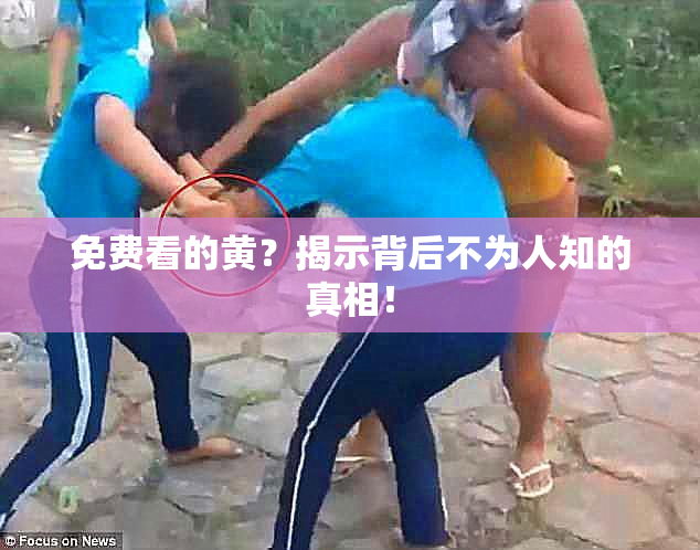 免费看的黄？揭示背后不为人知的真相！
