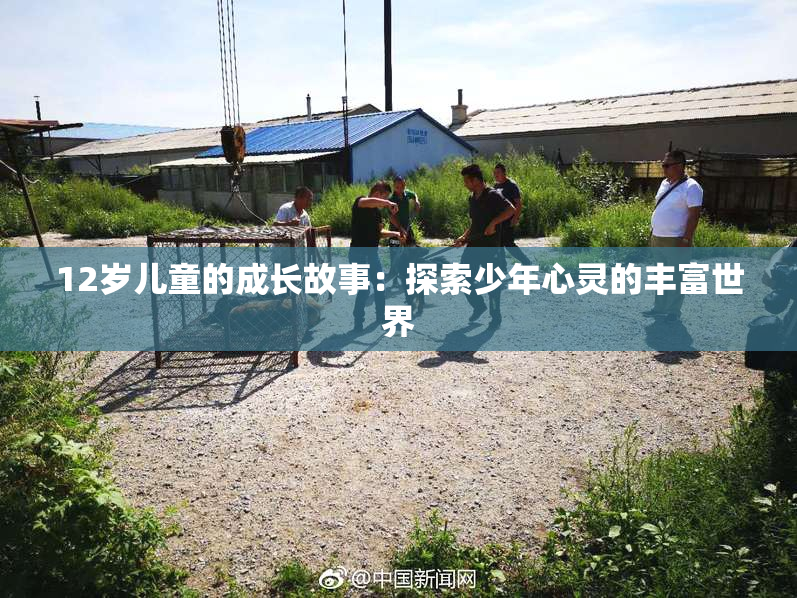 12岁儿童的成长故事：探索少年心灵的丰富世界