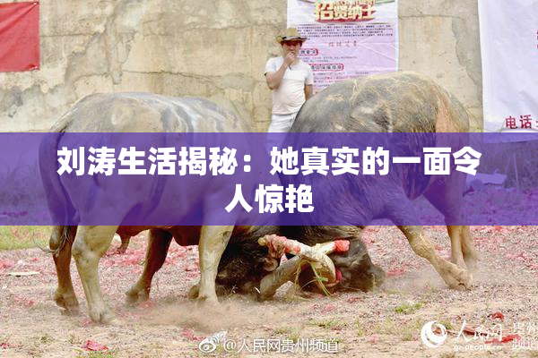刘涛生活揭秘：她真实的一面令人惊艳