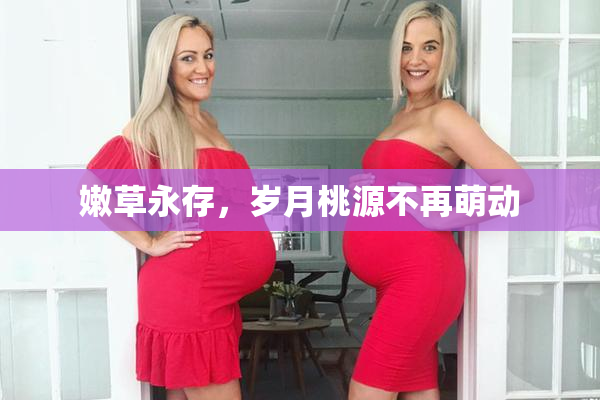 嫩草永存，岁月桃源不再萌动