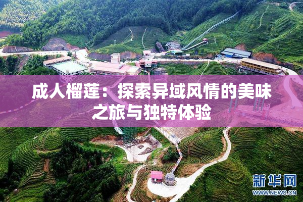 成人榴莲：探索异域风情的美味之旅与独特体验