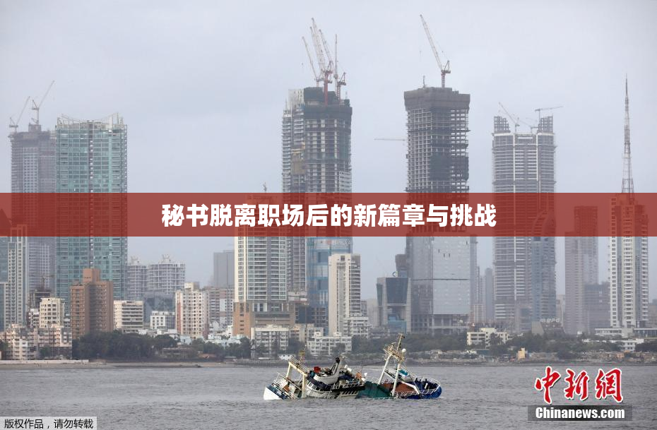秘书脱离职场后的新篇章与挑战
