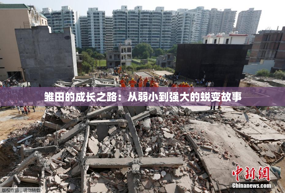 雏田的成长之路：从弱小到强大的蜕变故事