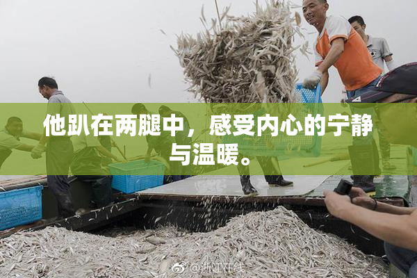 他趴在两腿中，感受内心的宁静与温暖。