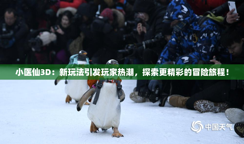 小医仙3D：新玩法引发玩家热潮，探索更精彩的冒险旅程！