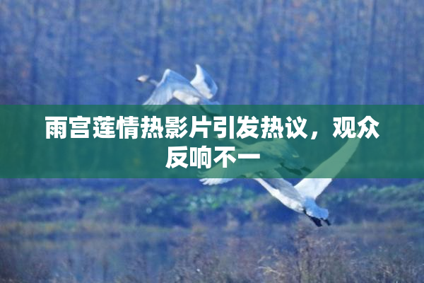 雨宫莲情热影片引发热议，观众反响不一