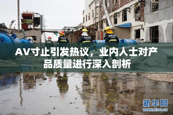 AV寸止引发热议，业内人士对产品质量进行深入剖析