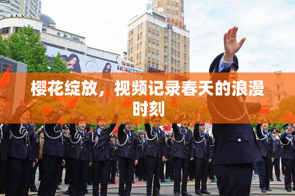 樱花绽放，视频记录春天的浪漫时刻