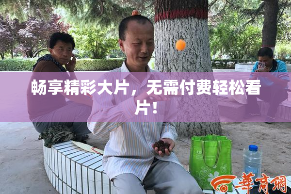 畅享精彩大片，无需付费轻松看片！