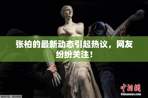 张柏的最新动态引起热议，网友纷纷关注！