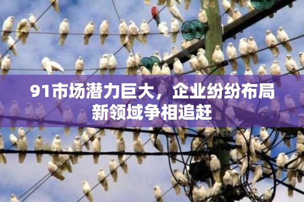91市场潜力巨大，企业纷纷布局新领域争相追赶