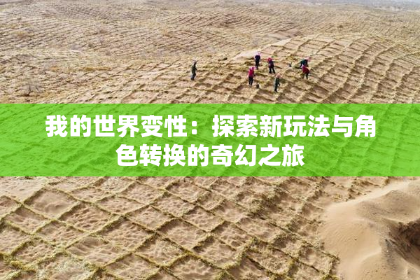 我的世界变性：探索新玩法与角色转换的奇幻之旅