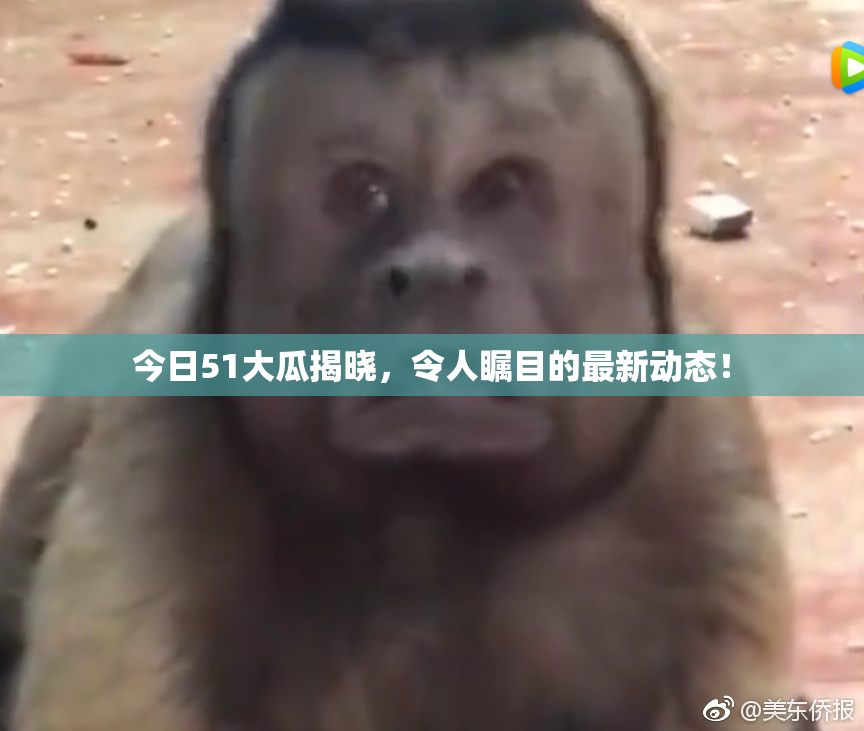 今日51大瓜揭晓，令人瞩目的最新动态！