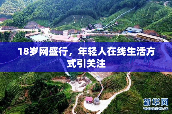 18岁网盛行，年轻人在线生活方式引关注