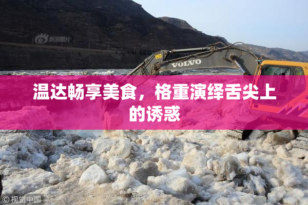 温达畅享美食，格重演绎舌尖上的诱惑