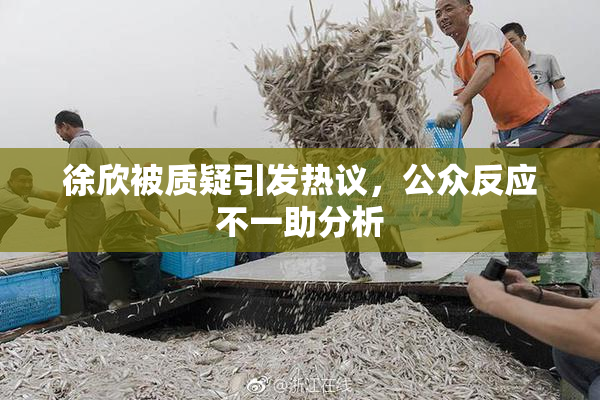 徐欣被质疑引发热议，公众反应不一助分析