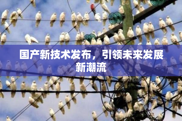 国产新技术发布，引领未来发展新潮流